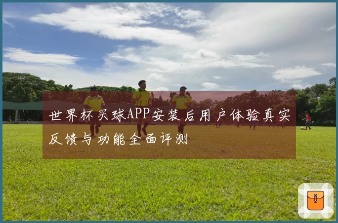 世界杯买球APP安装后用户体验真实反馈与功能全面评测