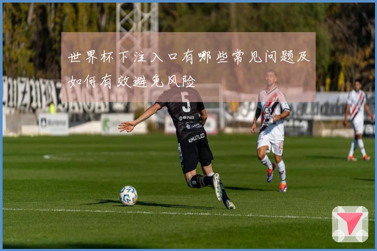 世界杯下注入口有哪些常见问题及如何有效避免风险