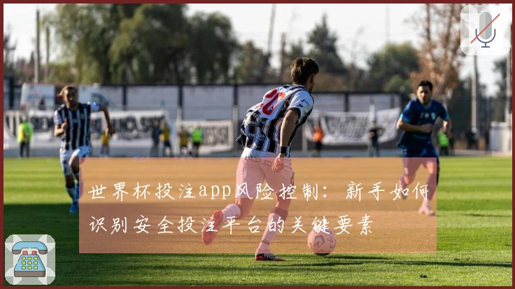 世界杯投注app风险控制：新手如何识别安全投注平台的关键要素