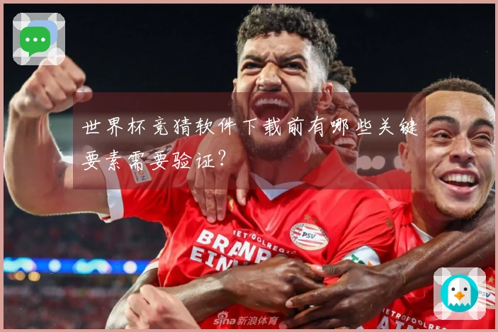 世界杯竞猜软件下载前有哪些关键要素需要验证？