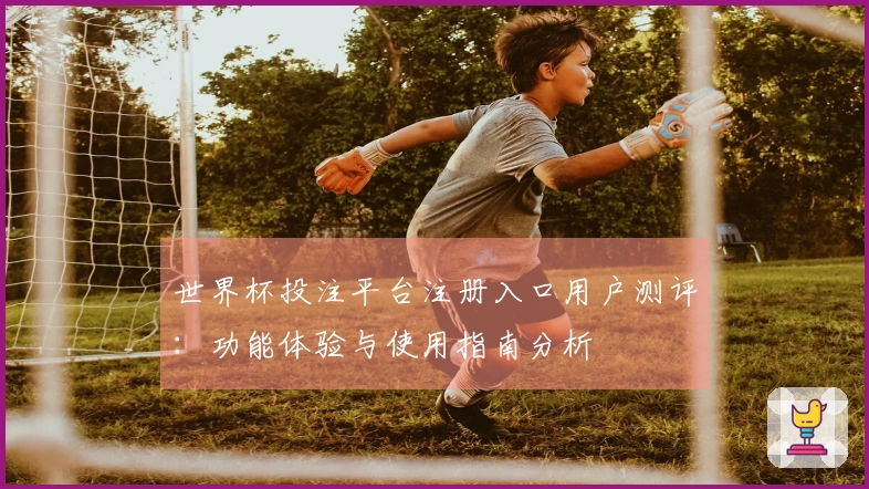 世界杯投注平台注册入口用户测评：功能体验与使用指南分析