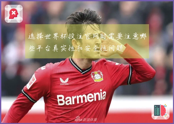 选择世界杯投注官网时需要注意哪些平台真实性和安全性问题