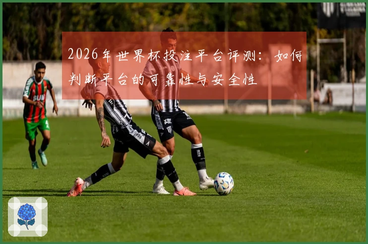 2026年世界杯投注平台评测：如何判断平台的可靠性与安全性
