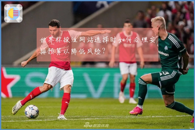 世界杯投注网站选择时如何合理安排预算以降低风险？