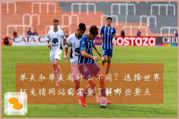 单关和串关有什么不同？选择世界杯竞猜网站前需要了解哪些要点
