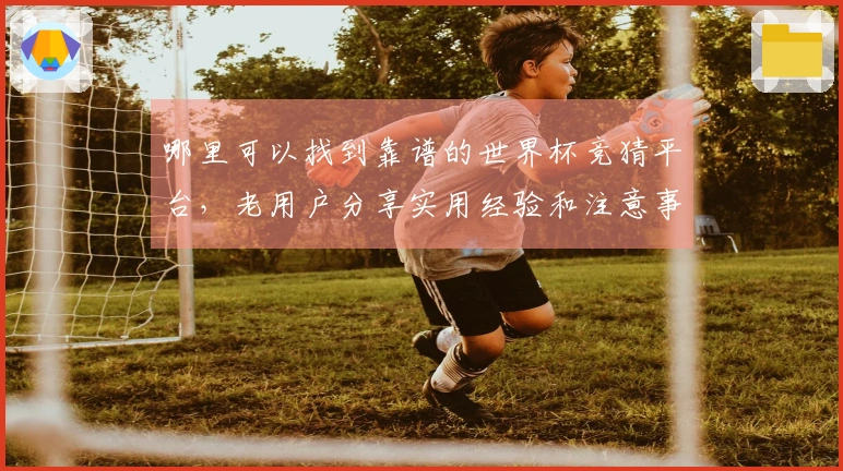 哪里可以找到靠谱的世界杯竞猜平台，老用户分享实用经验和注意事项