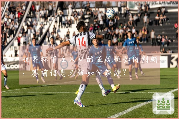 世界杯下注入口的正规性如何判断，赛前信息又该如何解读？