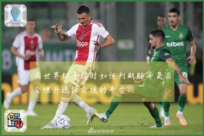 买世界杯竞猜时如何判断赔率是否合理并选择合适的平台？