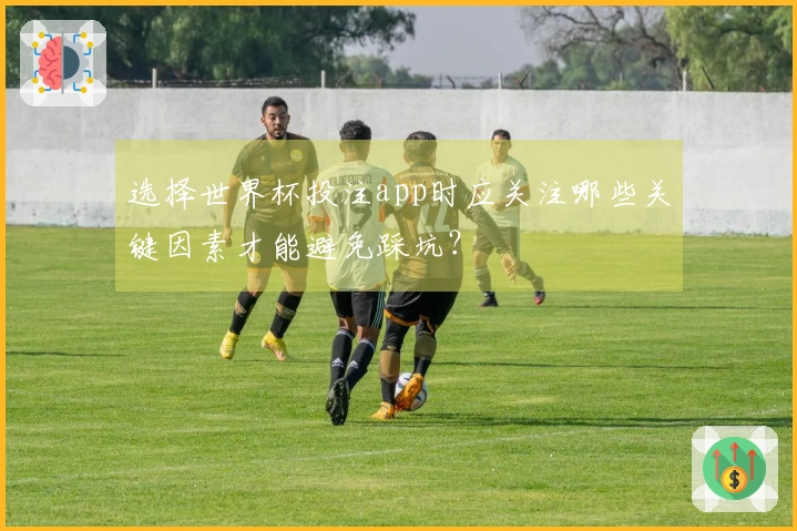 选择世界杯投注app时应关注哪些关键因素才能避免踩坑？