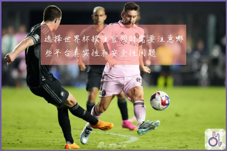 选择世界杯投注官网时需要注意哪些平台真实性和安全性问题