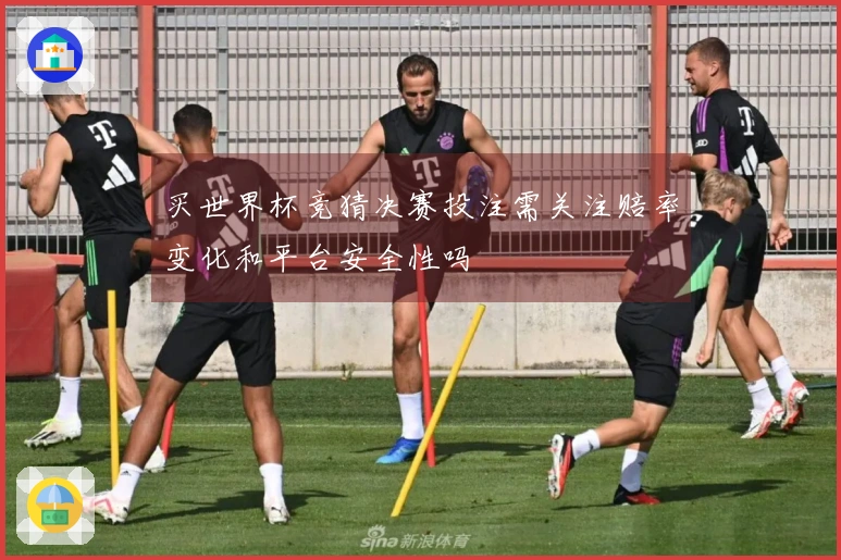买世界杯竞猜决赛投注需关注赔率变化和平台安全性吗