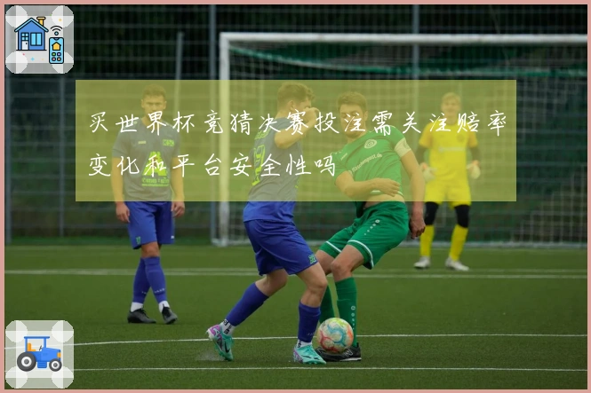 买世界杯竞猜决赛投注需关注赔率变化和平台安全性吗
