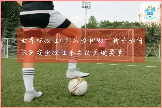 世界杯投注app风险控制：新手如何识别安全投注平台的关键要素