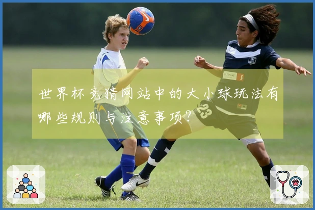 世界杯竞猜网站中的大小球玩法有哪些规则与注意事项？